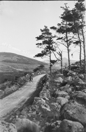 ON WAY TO POWERSCOURT ON GLENCREE VALLEY